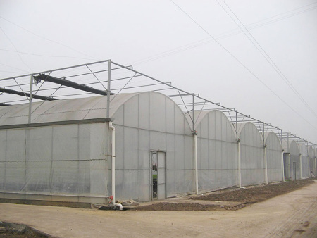 连栋薄膜温室