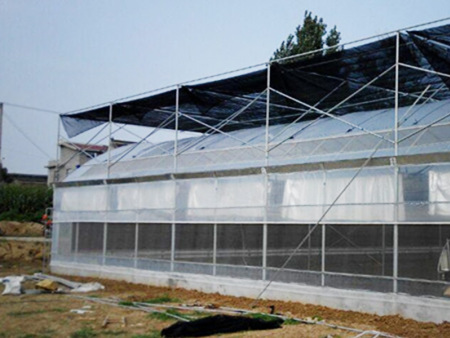连栋薄膜温室