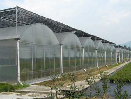 连栋薄膜温室
