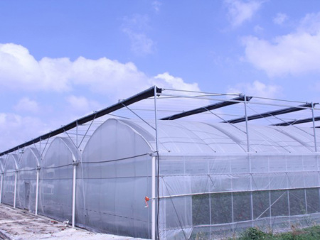 连栋薄膜温室