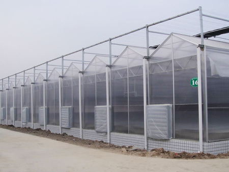 阳光板温室