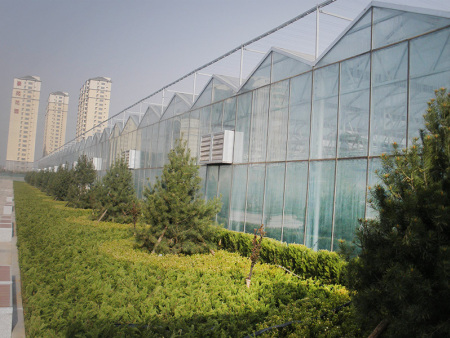 玻璃温室