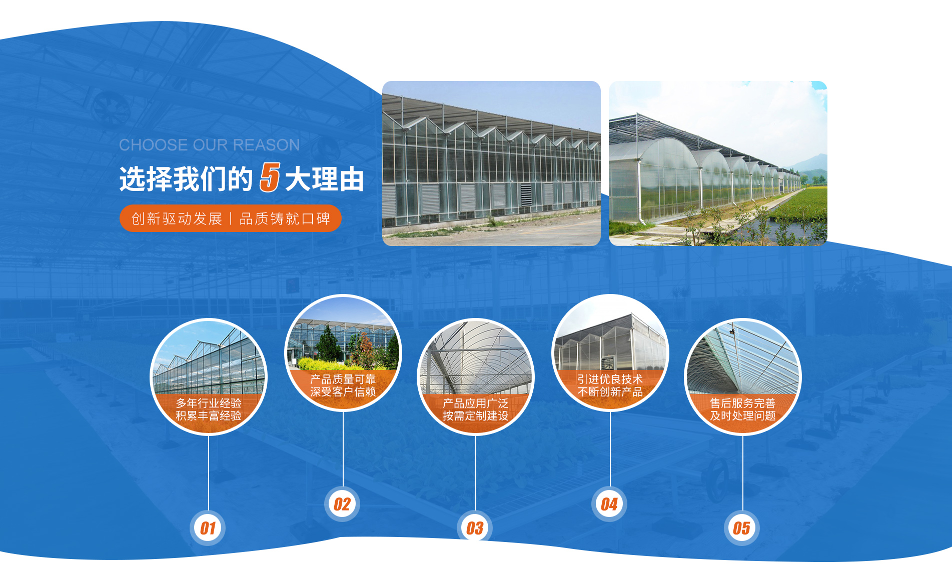 青州市洪奎温室工程有限公司