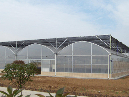 圆拱顶连栋温室