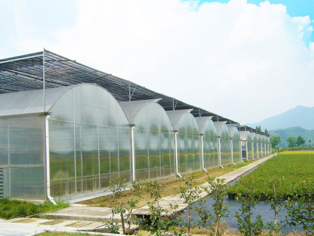 连栋薄膜温室