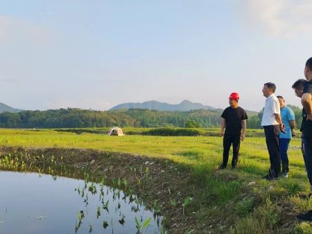 黟县县委书记程寄县调研宏村周边水体风险防控与生态修复EPC项目