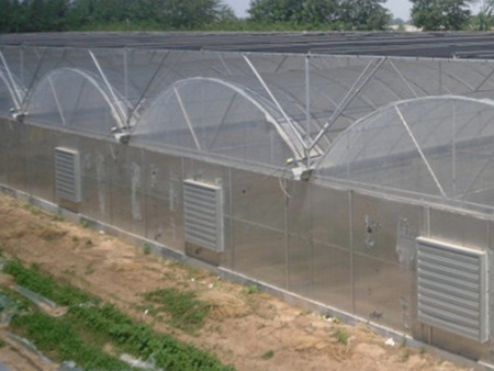 连栋薄膜温室