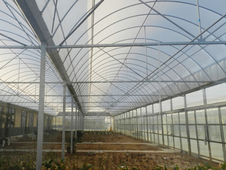 连栋薄膜温室