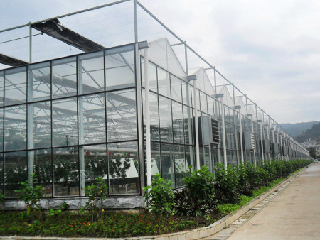 玻璃温室