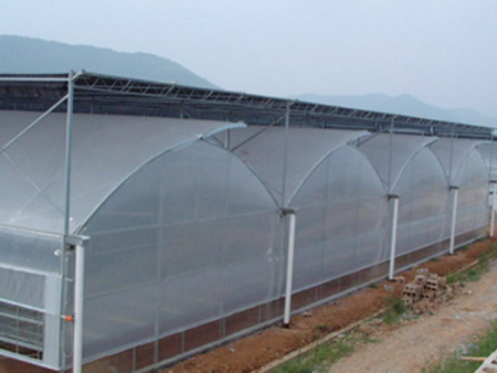 连栋薄膜温室
