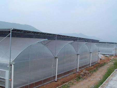 连栋薄膜温室