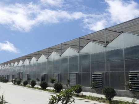 阳光板温室