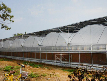 连栋薄膜温室