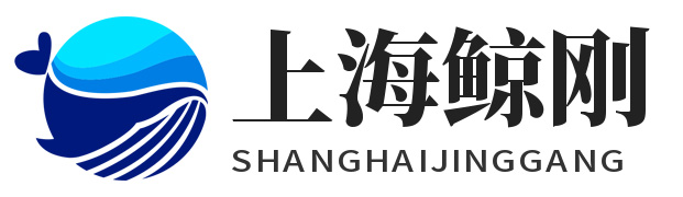 上海鲸刚网络科技有限公司