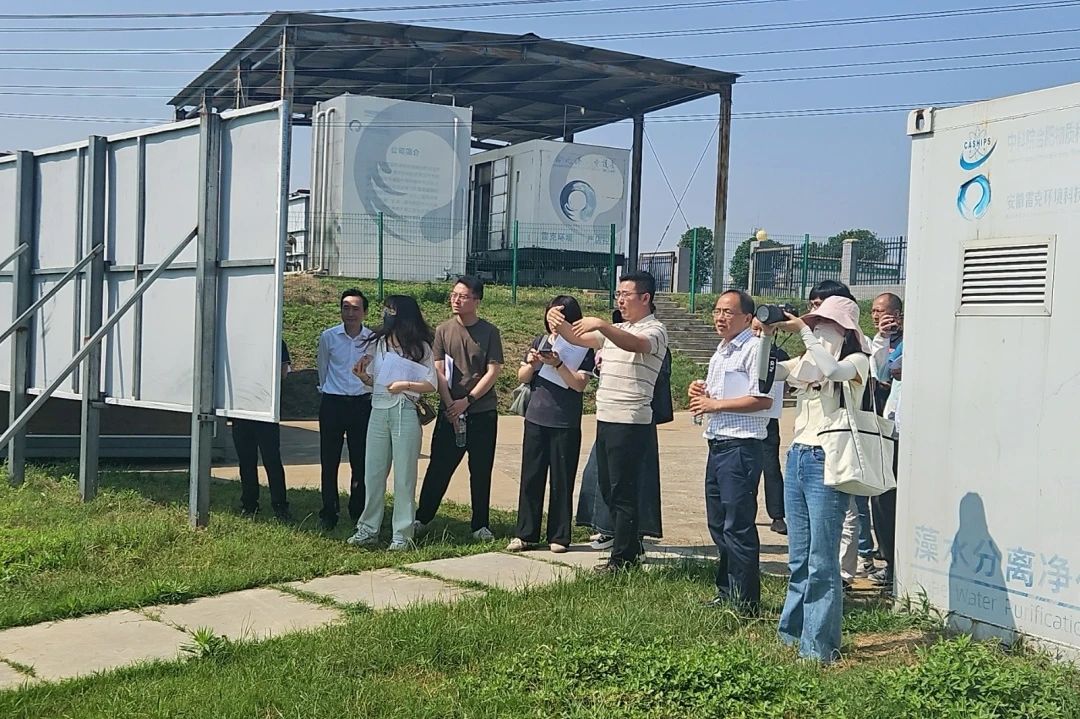 “江淮環保世紀行”采訪組赴肥西嚴店開展巢湖藍藻防控打撈集中采訪