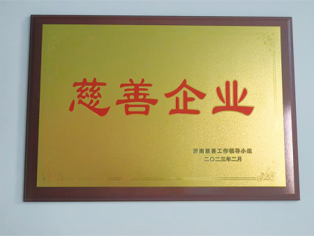 慈善企业