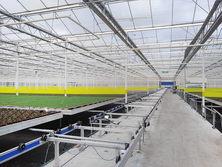 玻璃温室大棚搭建时要考虑的因素