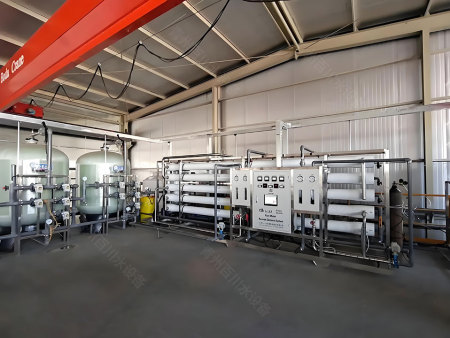 湖南双级12吨反渗透纯水设备