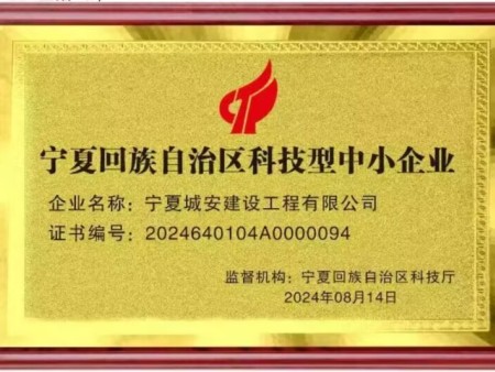 宁夏回族自治区科技型中小企业