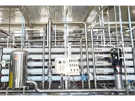 沈阳双级12吨反渗透EDI超纯水设备