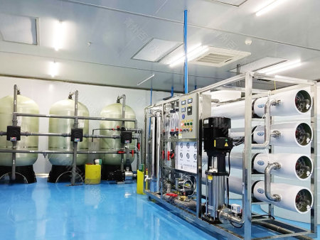 湖北桶装水12吨单极反渗透设备