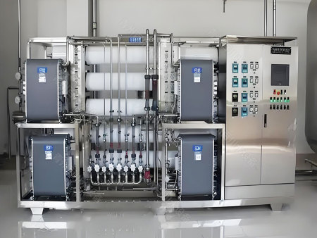 江西6吨双级反渗透EDI超纯水设备