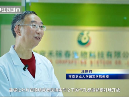 南京禾稼春公司参与的 “5-氨基乙酰丙酸抗逆增产提质增效理论创建与应用”项目 入选2024年度江苏省行业领域（现代农业）十项科技进展