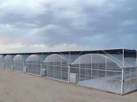 连栋温室