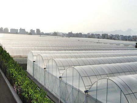 薄膜温室