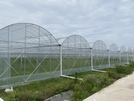 连栋温室