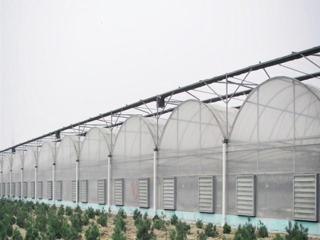 连栋温室