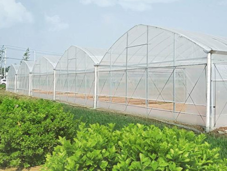 连栋温室