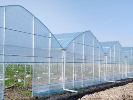 薄膜温室