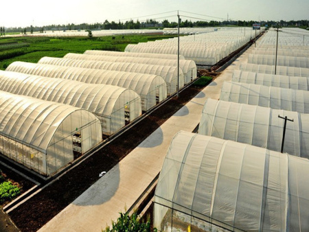 薄膜温室