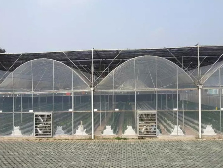 连栋温室