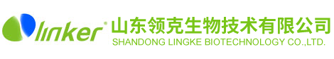 山东领克生物技术有限公司