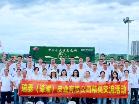 Climbing the Peak and Sharpening Our Resolve: The Successful Concluding of the RuiTai Elite Team's Huangshan Trip