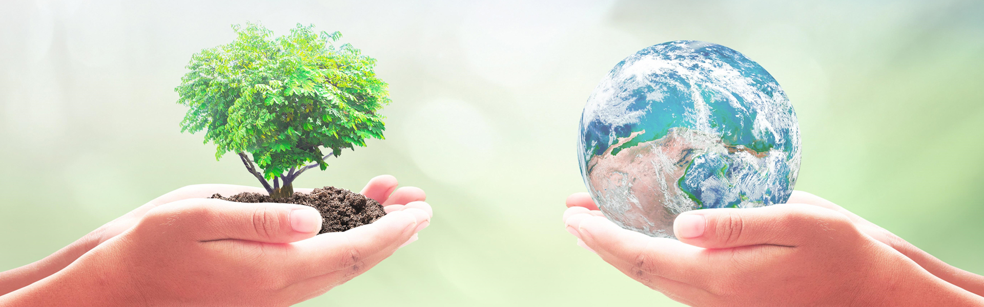 山東辰和生物科技有限公司