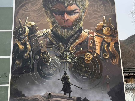 微信图片_20250626124320