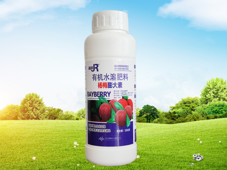 杨梅膨大素