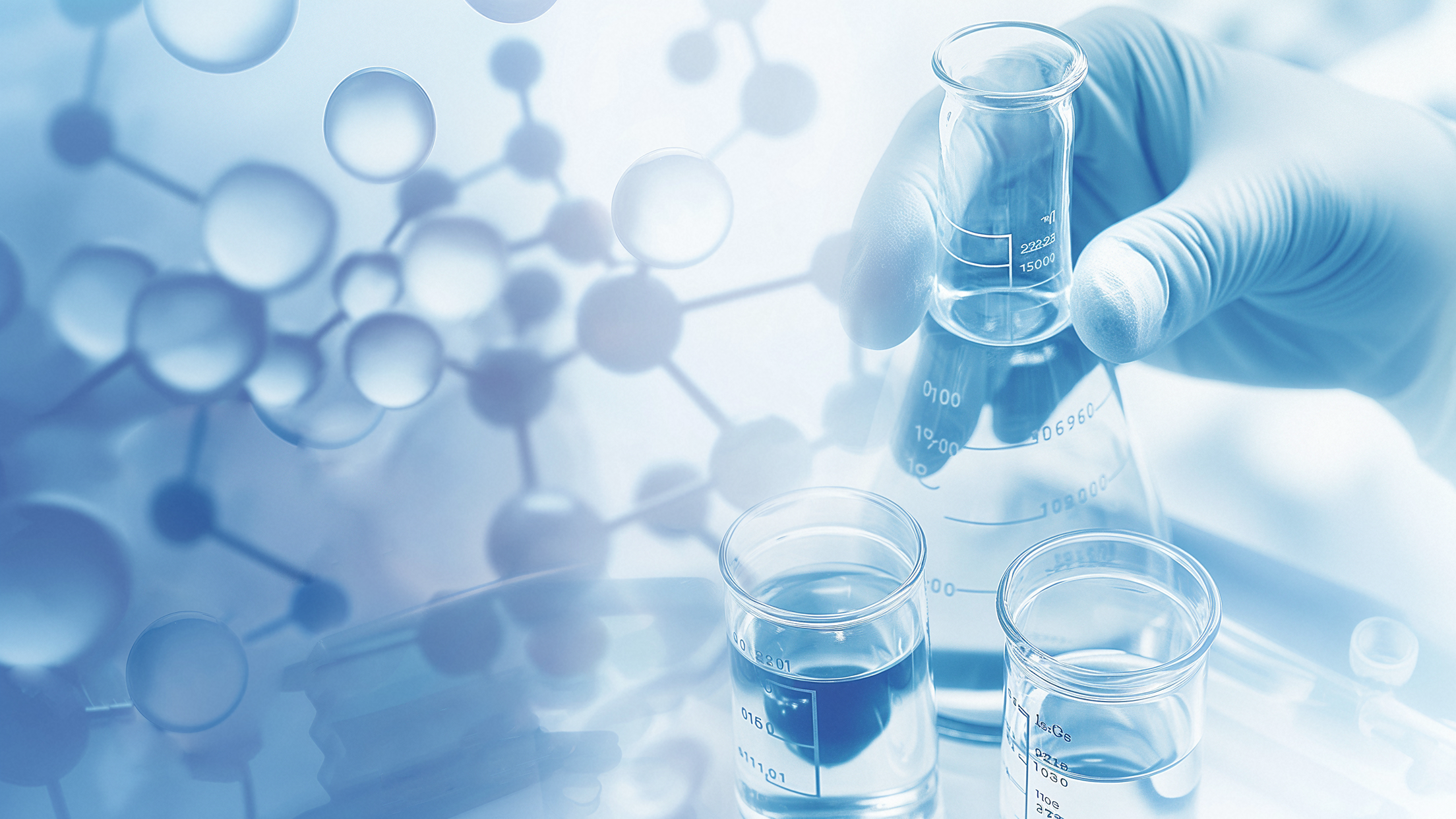 促进剂的种类及其特性知多少？