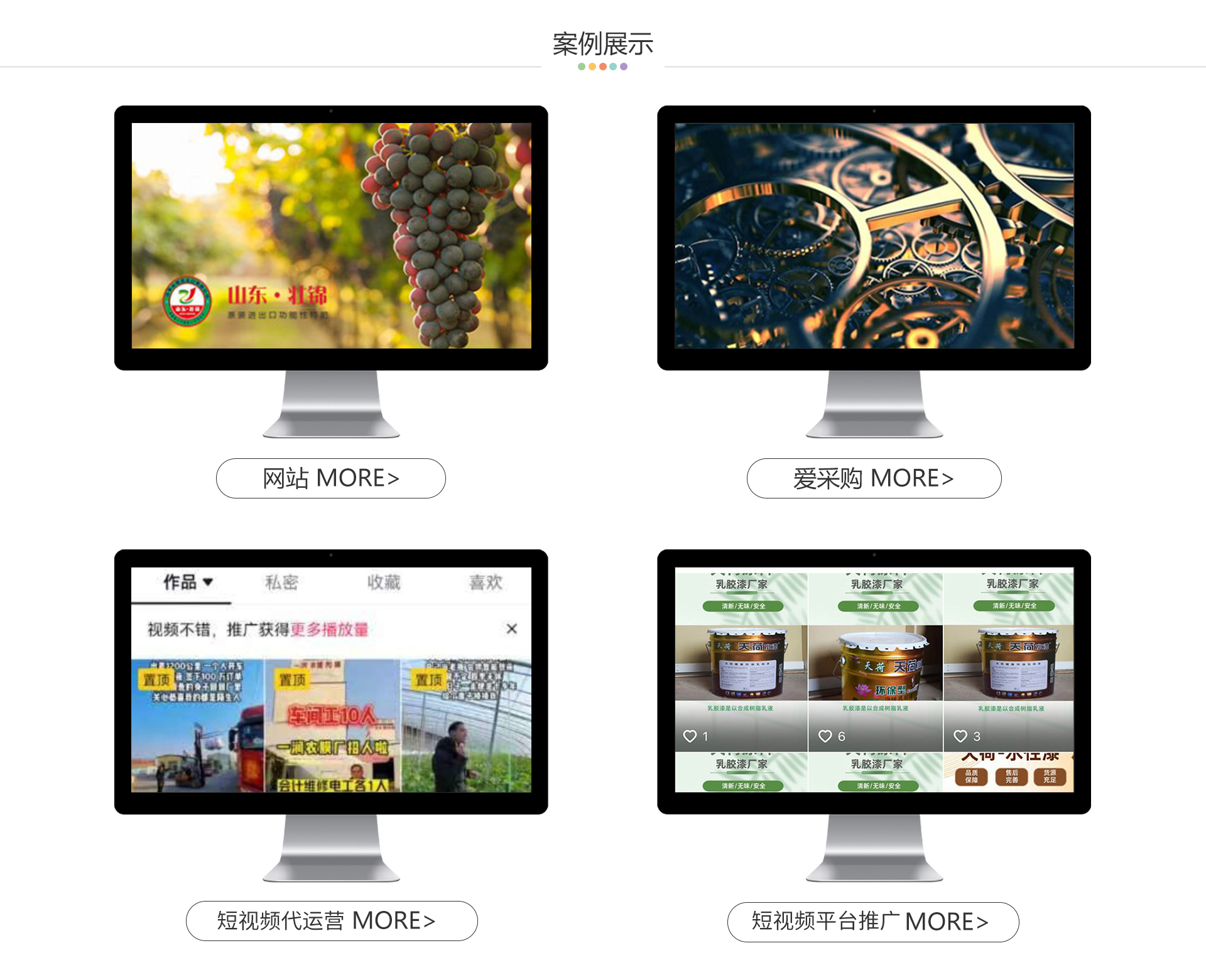 山东全网推网络科技有限公司案例展示