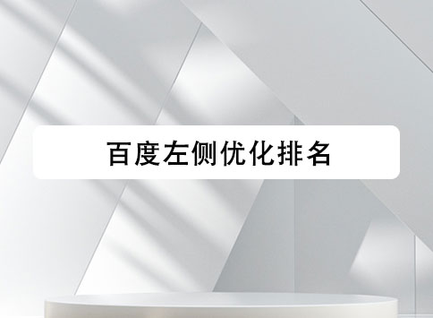 百度左侧优化排名