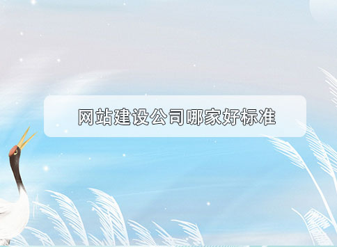 网站建设公司哪家好标准