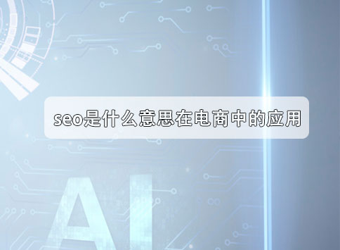 seo是什么意思在电商中的应用？