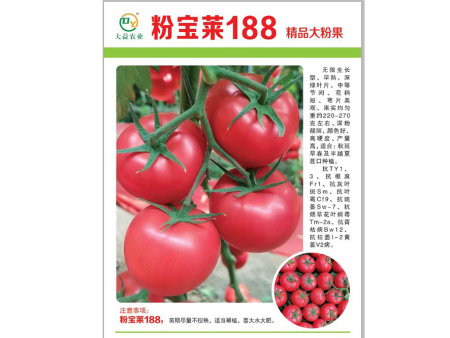 粉寶萊188