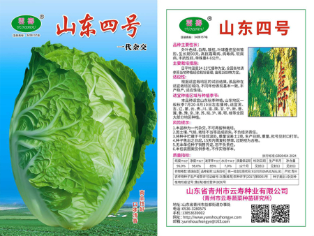 山东四号