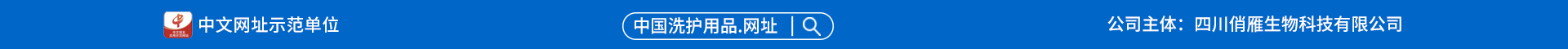 域名