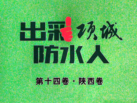 出彩項(xiàng)城防水人 第十四卷·陜西卷