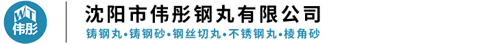 沈阳伟彤钢丸有限公司
